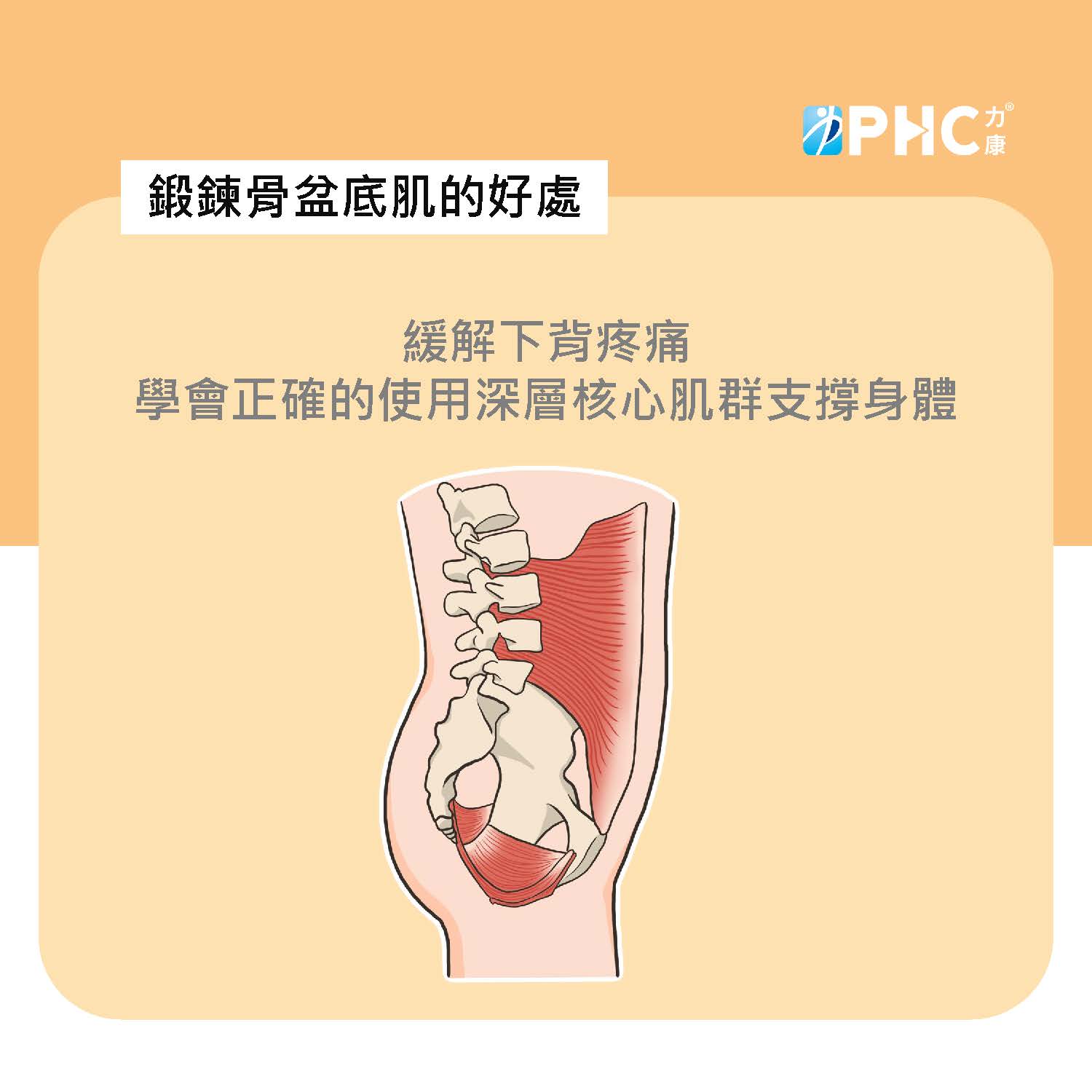 骨盆底肌_頁面_15.jpg