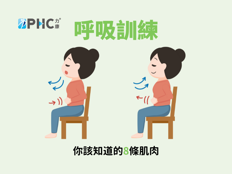 呼吸訓練你該知道的8條肌肉