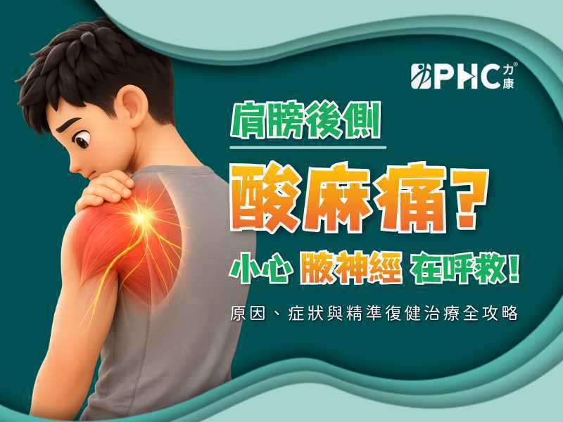 肩膀後側酸麻痛？小心「腋神經」在呼救！